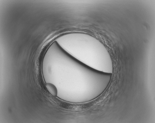 X0000116310295200911301041