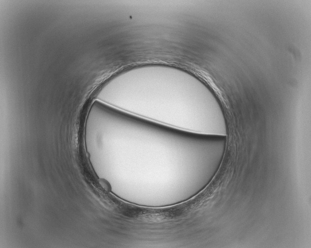 X0000116310299200911301041