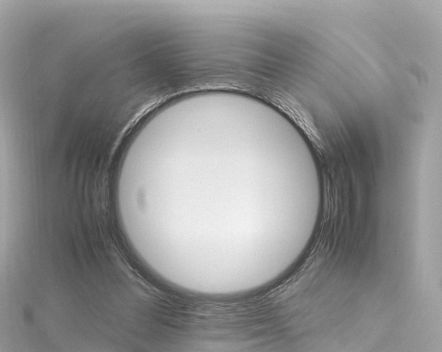 X0000116310300200911301041