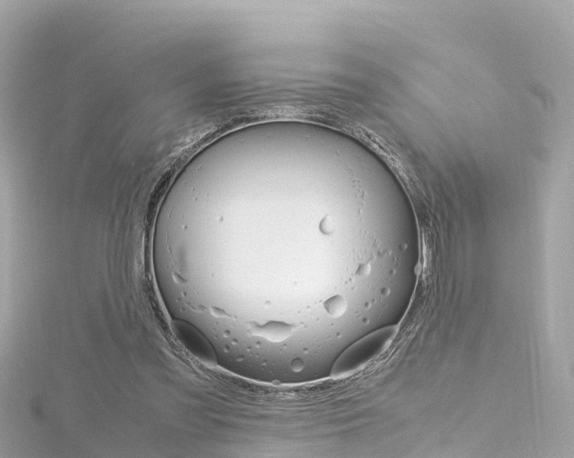 X0000116310301200911301041