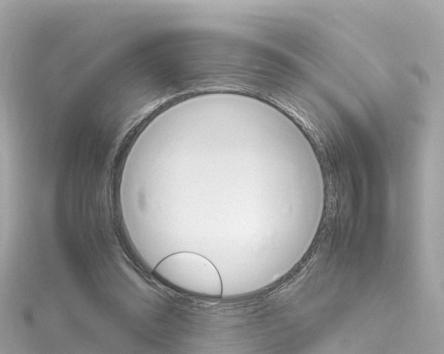 X0000116310302200911301041