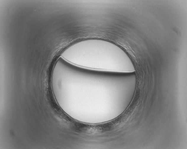 X0000116310303200911301041