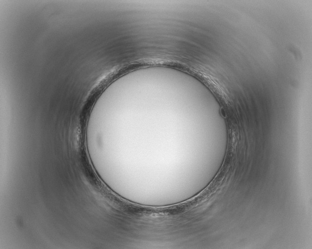 X0000116310304200911301041