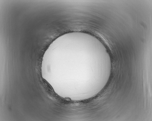 X0000116310307200911301041