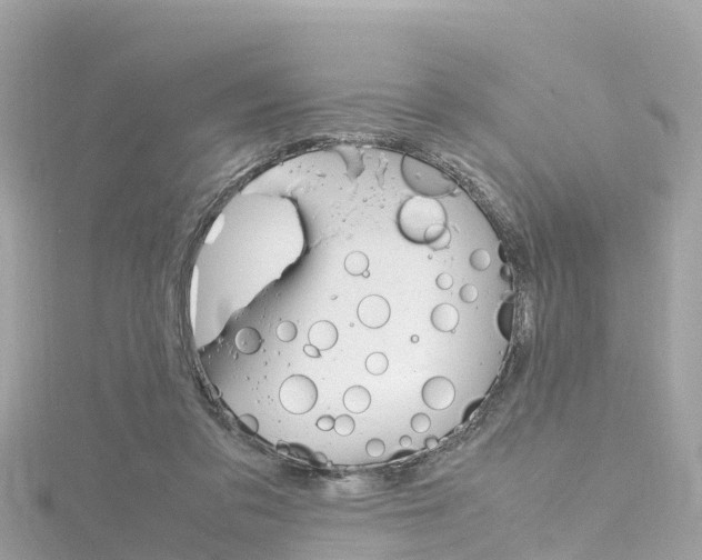 X0000116310309200911301041