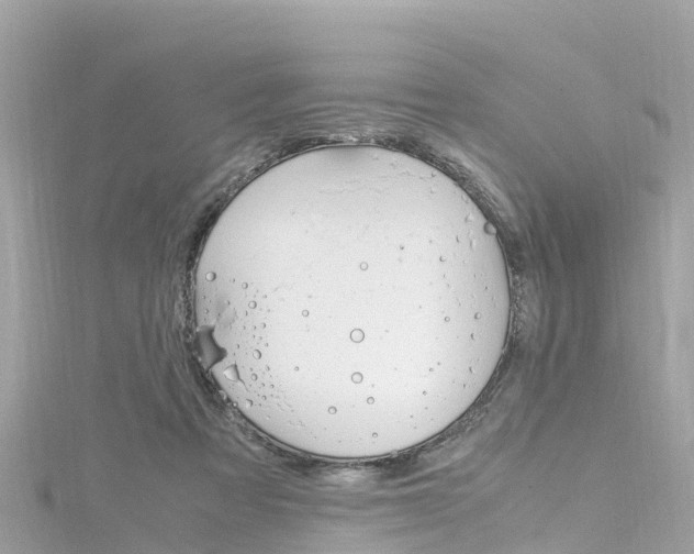 X0000116310313200911301041