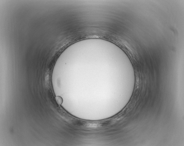 X0000116310314200911301041