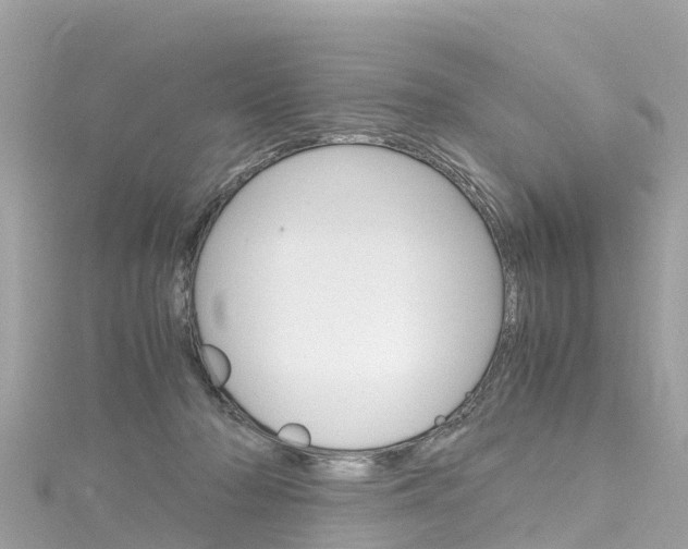 X0000116310318200911301041