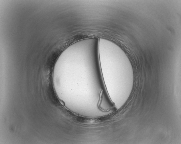 X0000116310319200911301041