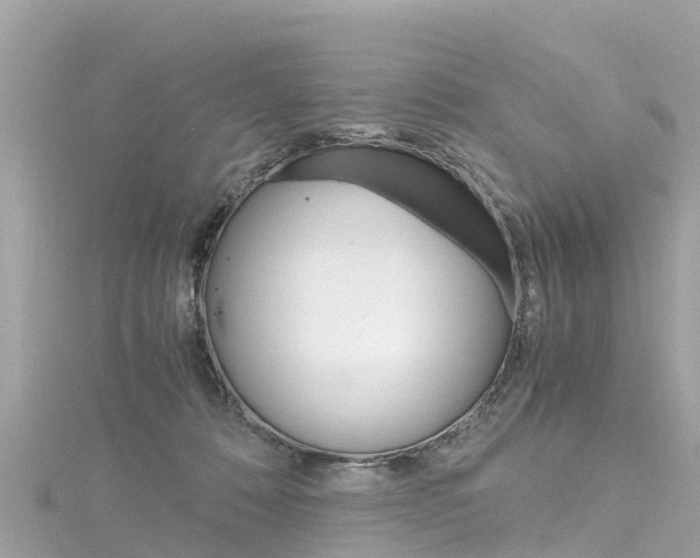 X0000116310320200911301041