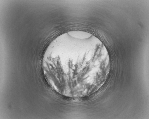 X0000116310321200911301041