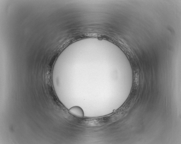 X0000116310322200911301041