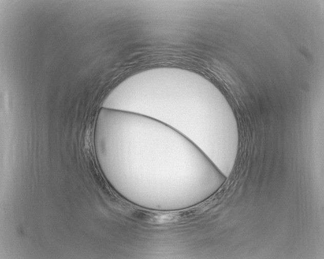 X0000116310323200911301041