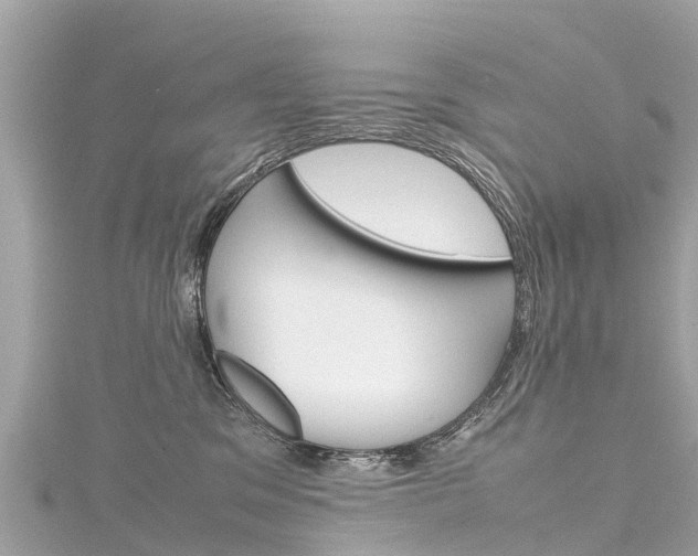 X0000116310329200911301041