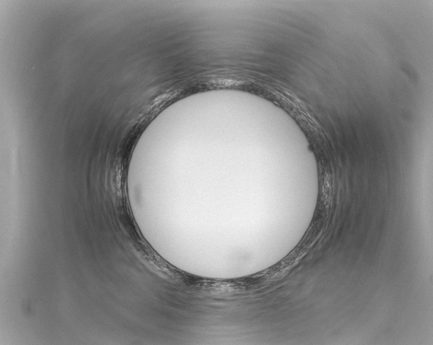 X0000116310330200911301041