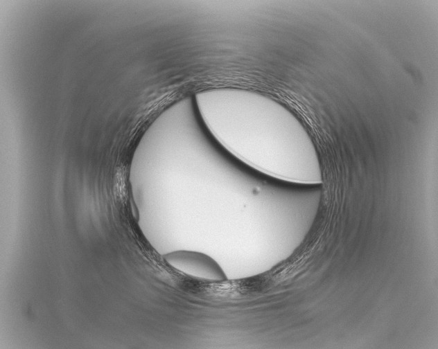 X0000116310335200911301041