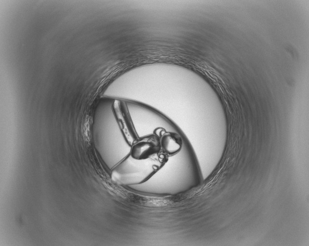 X0000116310336200911301041