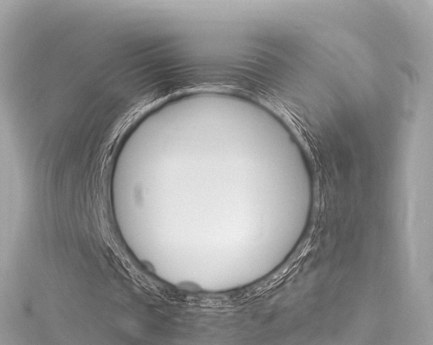 X0000116310337200911301040