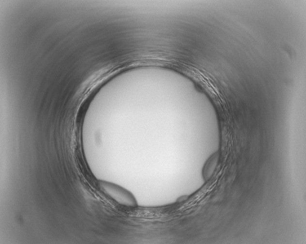 X0000116310338200911301040