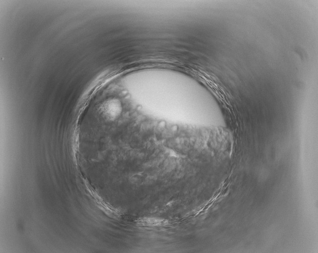 X0000116310339200911301040