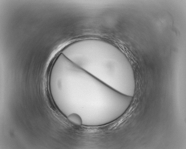 X0000116310342200911301040