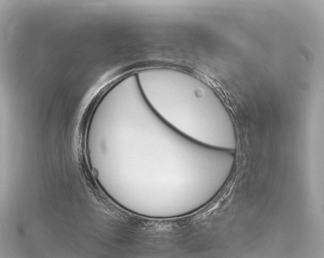 X0000116310343200911301040