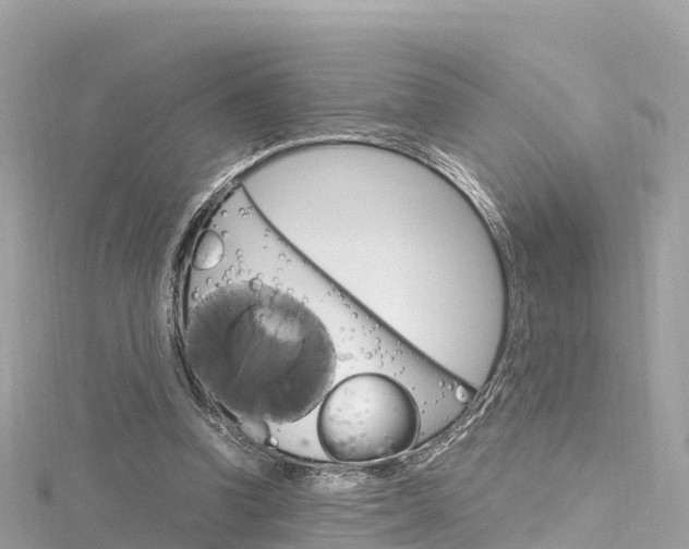 X0000116310346200911301040