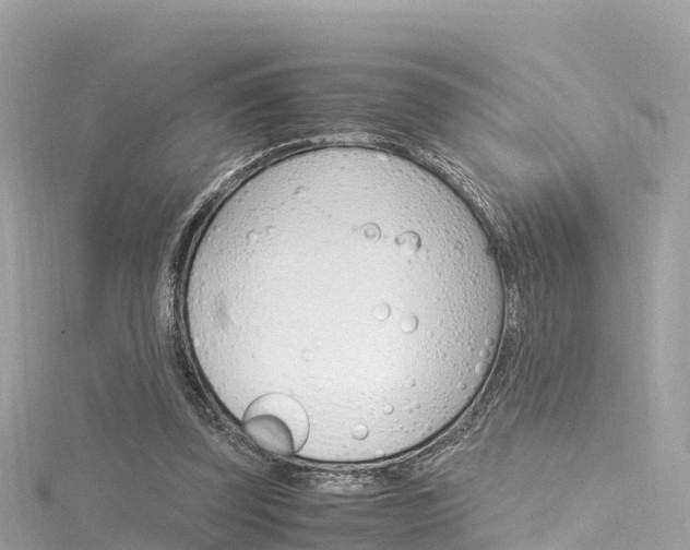 X0000116310347200911301040