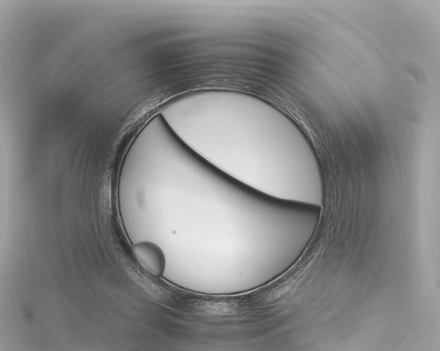 X0000116310349200911301040