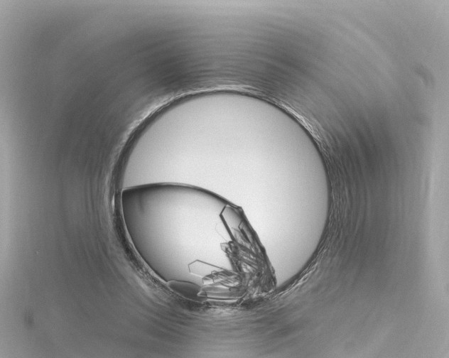 X0000116310350200911301040