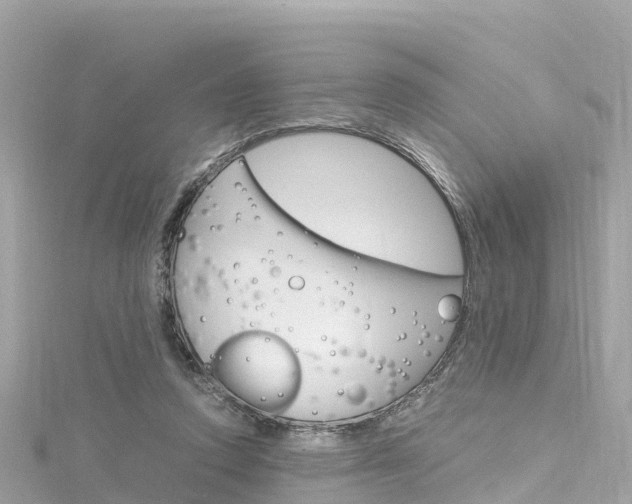 X0000116310354200911301040