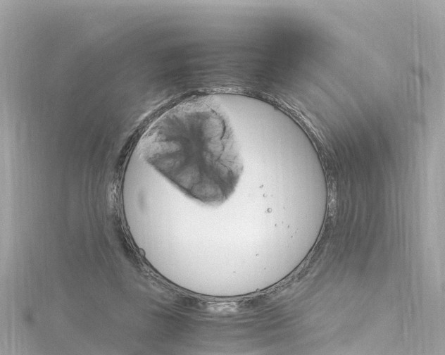 X0000116310355200911301040