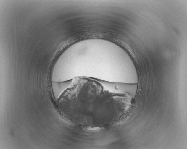 X0000116310357200911301040