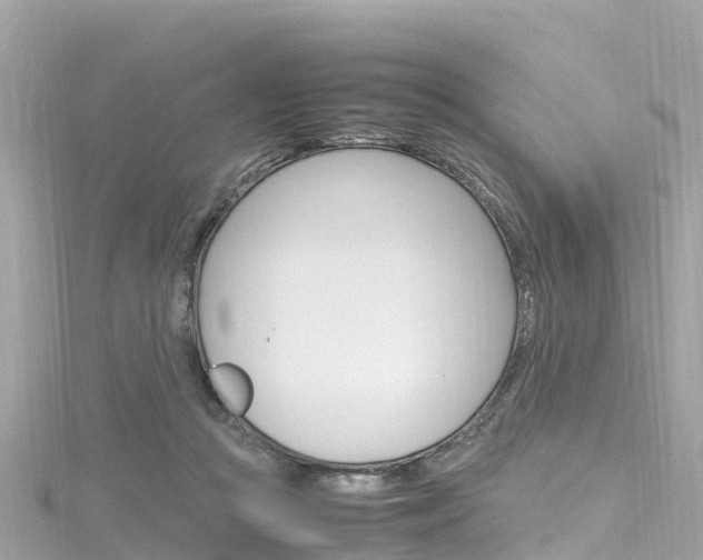 X0000116310361200911301040