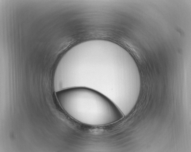 X0000116310362200911301041