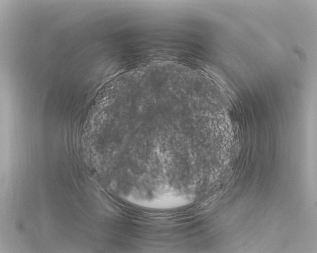 X0000116310363200911301041