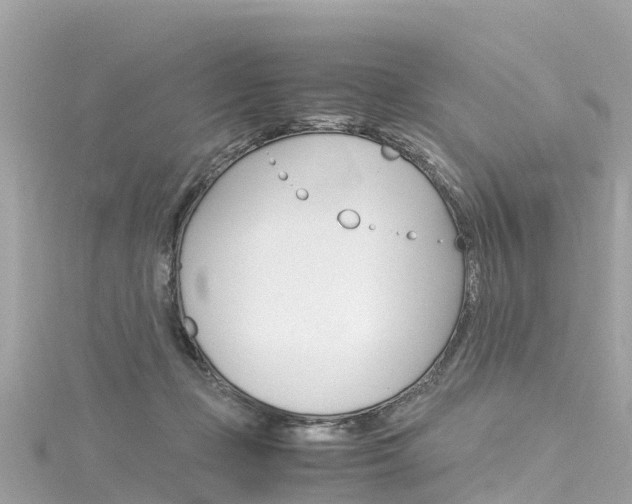 X0000116310365200911301041