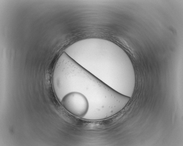 X0000116310366200911301041