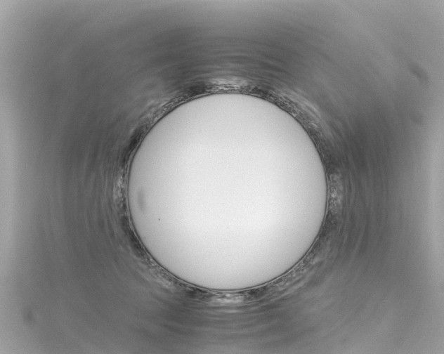 X0000116310369200911301041