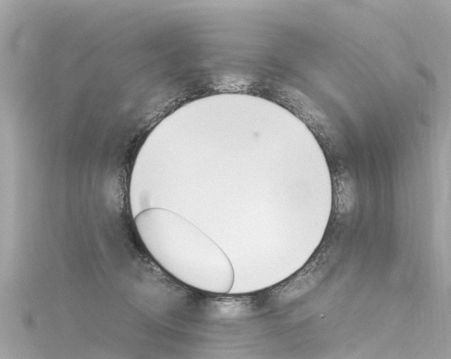 X0000116310370200911301041