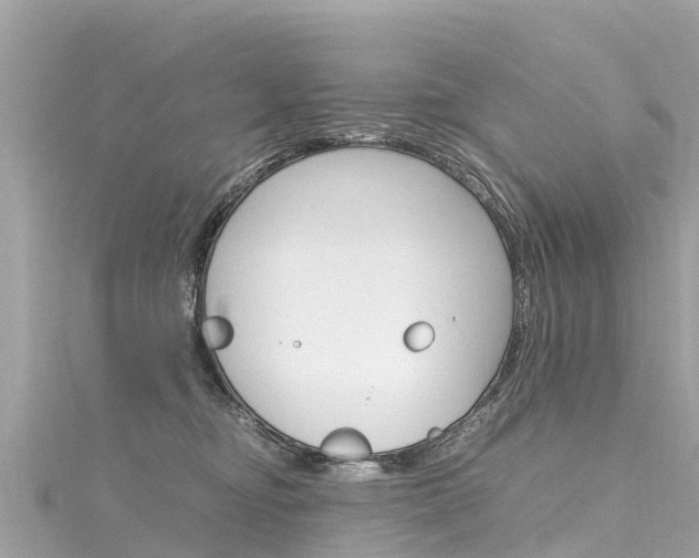 X0000116310374200911301041