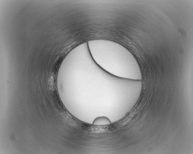 X0000116310378200911301041