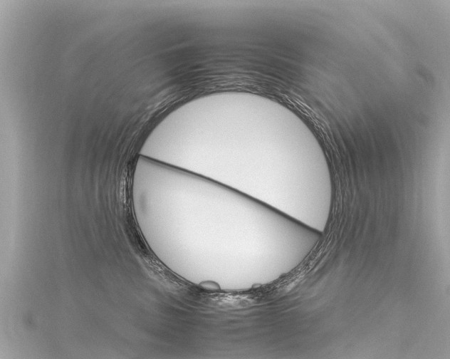 X0000116310379200911301041