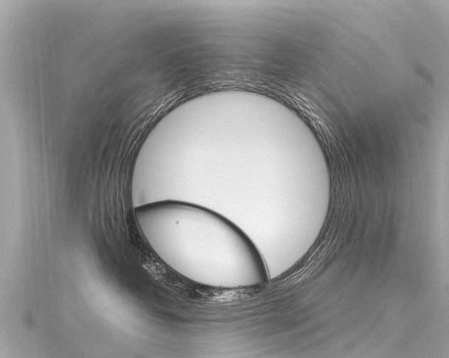 X0000116310382200911301041