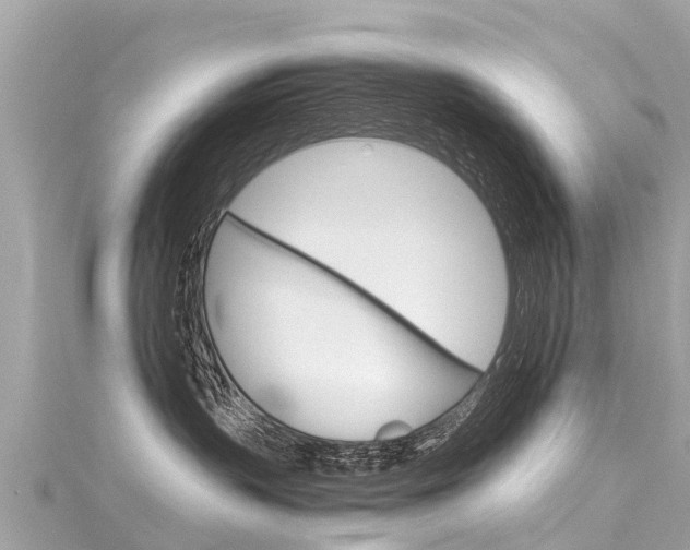 X0000116310383200911301041