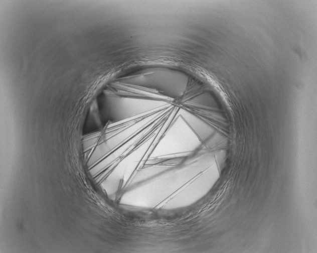 X0000116310385200911301040