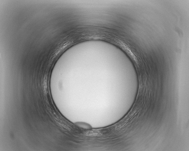 X0000116310386200911301040