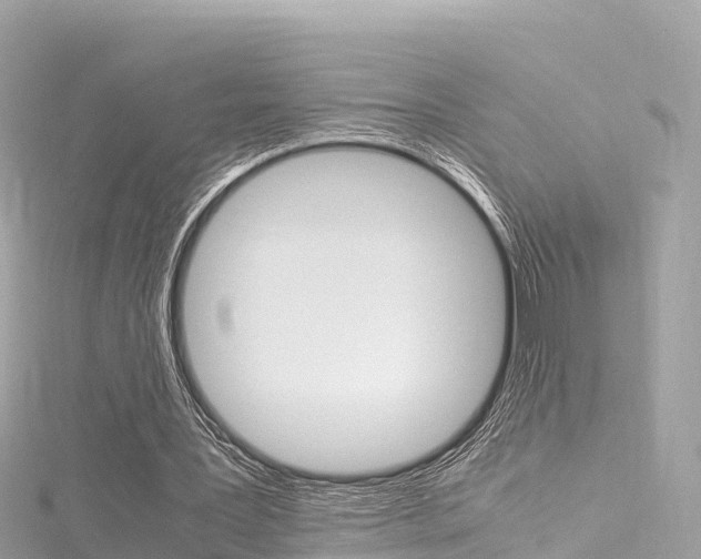 X0000116310387200911301040