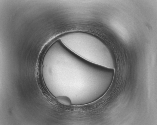 X0000116310388200911301040