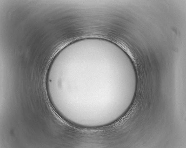 X0000116310389200911301040